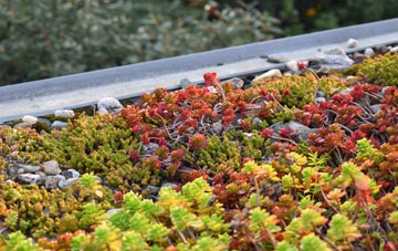 the cost of Pitteuchar green roof installation