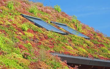 Pitteuchar living roof systems